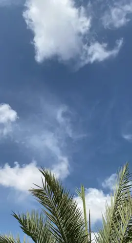 #CapCut #حمود_خضر #تصميمي #reels #كتابه #🧡 #بدون #موسيقى #بدون_موسيقى #كلام #foryou #كلام_من_ذهب #fyp #تصميم_فيديوهات #اناشيد #viral #لم_نخلق_عبثا 🧡🦋