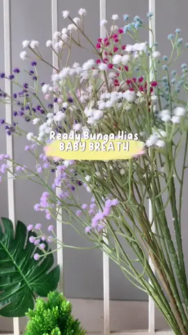 Bunga Baby Breath Artificial cuma 7ribu!!! 🥰 #babybreath #bungababybreath #bungahiasplastik #bungaartificialmurah #dekorasi #hiasanrumah 