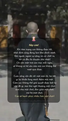 Nguyện người luôn an 🙏🏻🙏🏻🙏🏻@Học Phật Mỗi Ngày 🌱 #hocphat #hocphatmoingay #tutap #tutaptinhtan🙏🏻 #loidayphatphapp #loiphatday #loiphatdayvecuocsong #LearnOnTikTok #daophat #xuhuongtiktok 