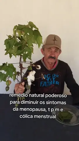 remédio natural poderoso para menopausa,TPM e cólica menstrual #remediocaseiro #saude #remedionatural 