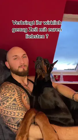#fyp #fy #hundevideos #goviral #hunde #dog #dogvideos #foryou #startseite #dogsoftiktok 