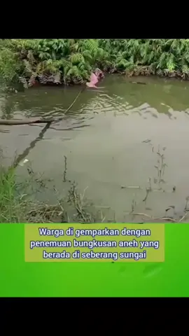 apa Yah itu?#pyfindonesia #penomena_alam #viralvidiotiktok_fypツ 