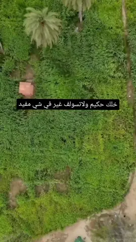 شعر #اكسبلور #explore #fyp #foryou #foryoupage #تصميمي 