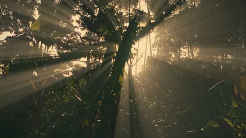 waktu yang singkat adalah kenangan yang hebat ;)  infinix hot10 1080p 30fps#kontencinematic #cinematicvideo #sinematikaesthetic #fyp #cinematic #cinematicalam 