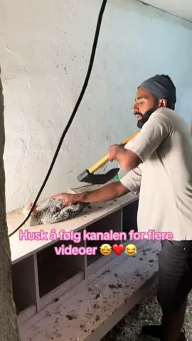 Vil du ha halal kylling?❤️😂 #humor #kødder #armansurizehi #gilde #relatable #edit #shafqat #norskhumor #gård #norge 