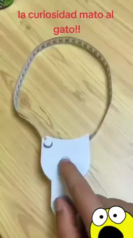 #curiosidades#nomepuedoestarquieto 