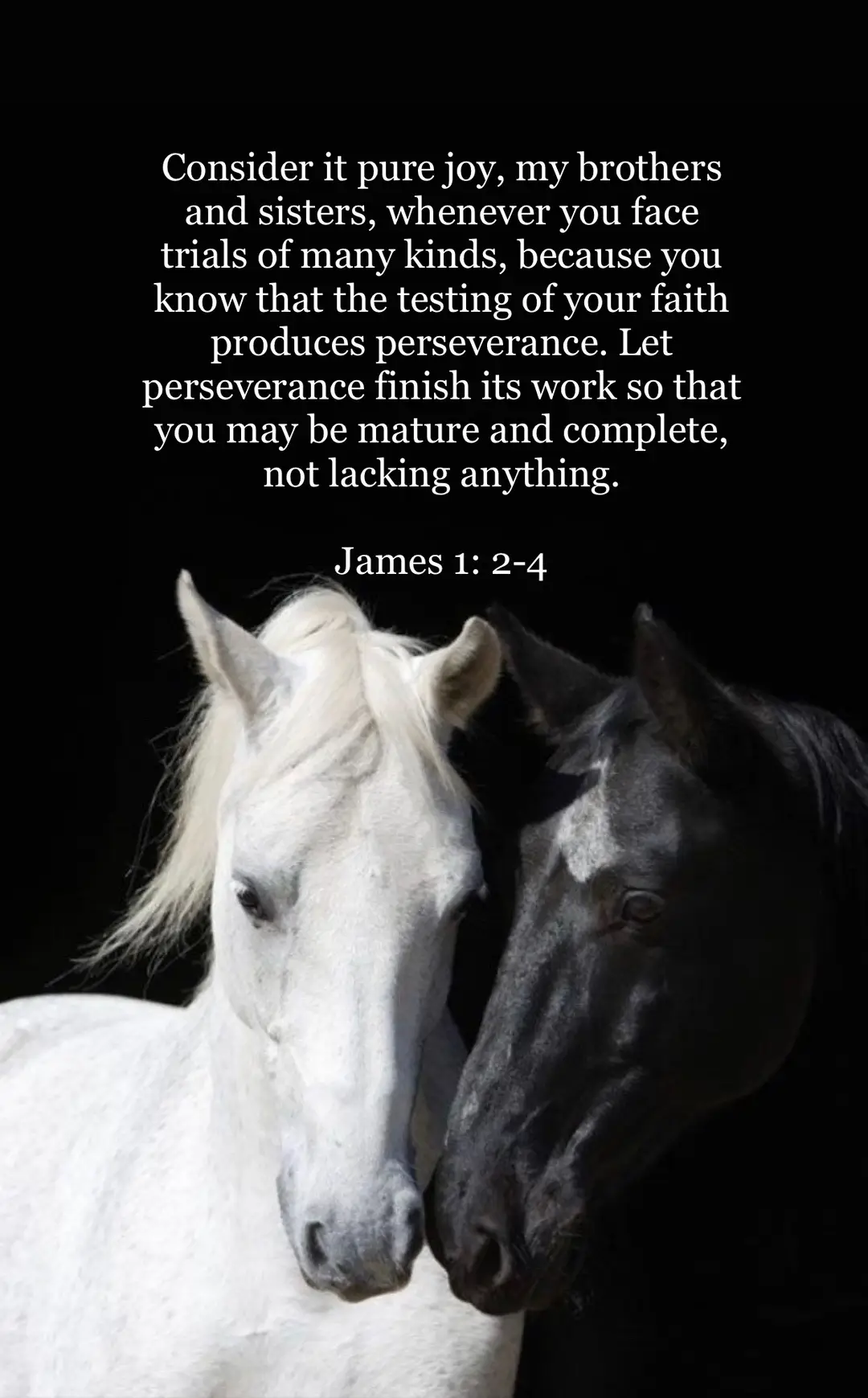 To those that have been waiting on the Lord’s answer, he is close. Just talk to him and he will reveal himself to you, while also bringing you out of that place of darkness you feel like you’ve been stuck in.  #fyp #foryoupage #horsesoftiktok #horsetok #christian #christiantiktok #jesus #God #prayer #biblestudytime #endtimes #rapture #angels 