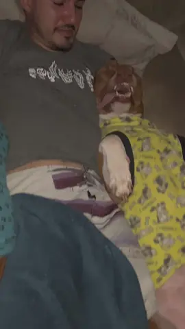 Beretta no cochilinho #pitbull #pitbulls #pitbullpuppy #pitbulllove #pitbullsofig #pitbulladvocate #pitbulllife #pitbullsarelove #pitbullsofficial #pitbullpuppies #pitbullmom #pitbulllover #pitbullpride @baraodashashtags #pitbullstrong #pitbullsociety #lovedogs #instagramdogs #dogsofig #dogshow #dogsmile #doglovers #puppies #doglove #Love #dogsitter #pitbullselfie 