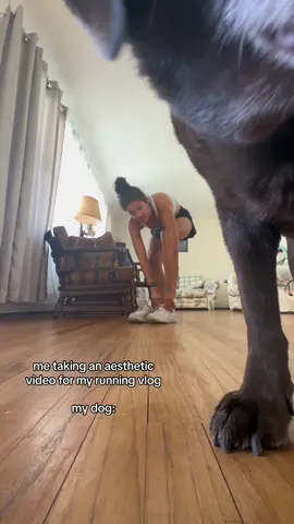 coco is the star, the moment, the icon #fyp #fypsounds #tiktok #tiktokdance #dogsoftiktok #chocolatelabrador #blooper #behindthescenes #mydog #tryingtobeaesthetic #ilovemydog 