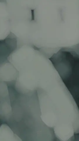 #สโลว์สมูท #สปีดสโลว์ #CapCutVelocity 