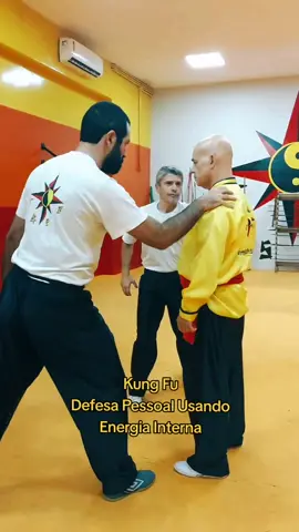 #tskf #kungfu #Kungfuadistancia #kungfuonline #wushu #louvaadeus #artemarcial #artesmarciais #shaolin #chikung #camisadeferro #humor