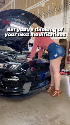 Mods hold first priority 🤭