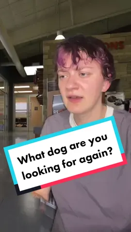 the sad part is that this has happened on more than one occasion #CapCut #skit #skitok #animalshelter #shelterworker #shelterstaff #shelterstories #animalshelterlife #foryou 