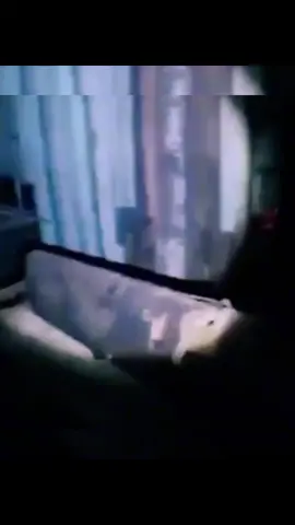 #video #terrorparanormal #aterradormisterio #paranormales #miedo #fantasmasentiktok #miedotiktok #viralvideo #fyp #parati 