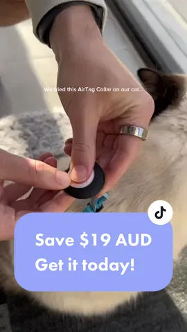 Never going to lose my furry friends again! #gpsforcats #outdoorcats #catsoftiktok #meow #activitymonitoring 