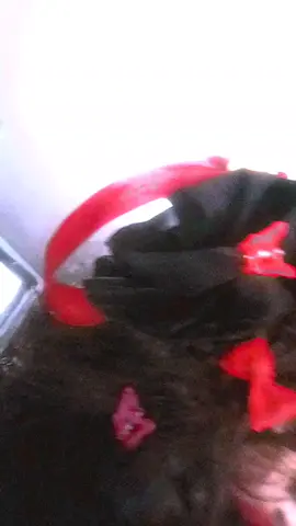 her🌹 #beastcosplay #blackbutler 