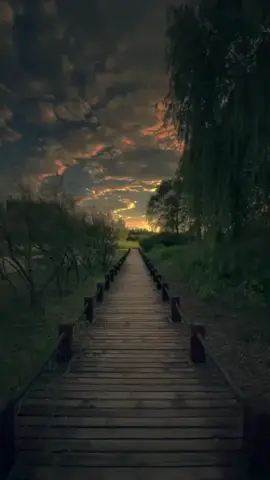 #cumbiaperuana🇵🇪 #cumbiaconletra  #enotrapiel #corazonserrano♥️🇵🇪🥰  #fypシ #viral #🍻🍻 