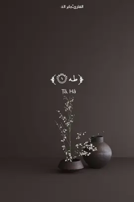 {ما انزلنا عليك القران لتشقى} 🤍🥺.  . 🤍🤍🤍🤍🤍🤍🤍🤍🤍🤍🤍🤍🤍🤍 . . #طه #ايات🤍 #طه_ماانزلنا_عليك_القرآن_لتشقى #ماشاءالله #جابر_القيطان #القران_راحة_نفسية #سورة_طه #مالي_خلق_احط_هاشتاقات #مهم 