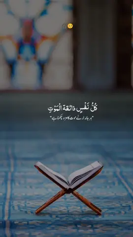 كُلُّ نَفْسٍ ذائقۃ الْمَوْتِ🥺🎧 #dontunderreviewmyvideo #quranvideo #quranpak#qurantilawat #1m #foryoutrick #muharram #jummamubarak #status #islamic_video #nc_aesthe #itx_chand @itx_King 