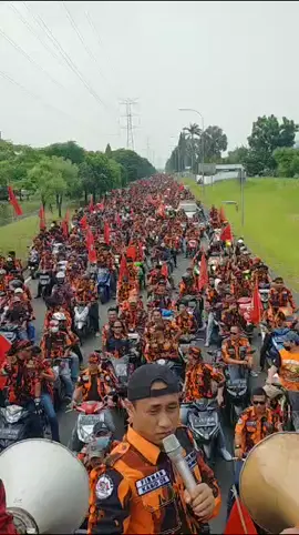 PP Kabupaten Bekasi Beraksi 💪 #fyp #pemudapancasila #abadi #sekalilayarterkembangsurutkitaberpantang #poryoupage #fypシ゚viral 