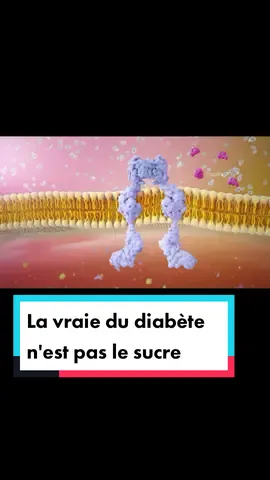 #diabète #prédiabète #insuline #resistancealinsuline #graisse  #résistanceàlinsuline #sucre