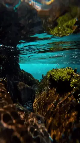 Let's go for meet ocean king #lake #dronevideo #vocals #watersound #livewallpapers #river #ultrahdwallpaper #4kvideo #foryourpage #8k #4k #famous #fyp #relaxingsounds #foryou #foryourpagetiktok #beautiful #relaxingvideos #realxingsound 