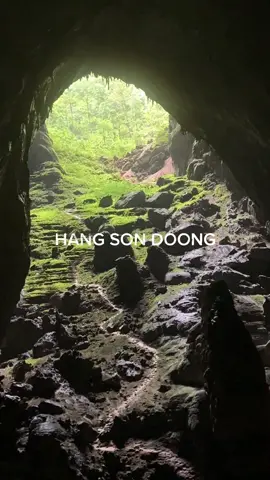 Paradise Found! This shot was captured as our group of adventurers trekked toward Doline 2 to explore the jungles at the Garden of Edam. 📍Hang Son Doong - The world’s largest cave #sondoong #sondoongcave #oxalis #quangbinh73 #trending #LearnOnTikTok #fyp 