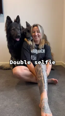 Nothings better than this #germanshepherd #dogselfie #viral #trending 