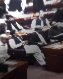 Dont annoy him #fyp #imrankhan 