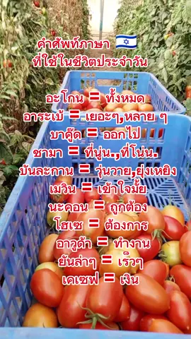 คำศัพท์ที่ใช้ในชีวิตประจำวัน  #แรงงานไทยในอิสราเอล🇹🇭🇮🇱  #แรงงานไทยในต่างแดน  #TICThailand 