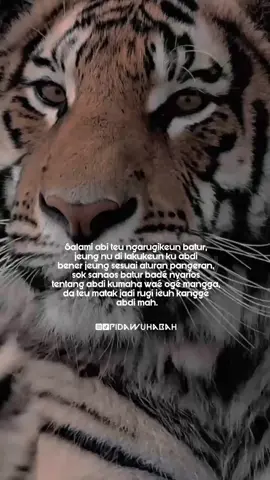 Ti abi mah sakitu kitu wé. #pidawuhabah #papatahsunda #pepelingsunda #saursepuh #katakatasunda #sundabijak #maung #siliwangi #padjajaran #kujang #malamjumat at #fypシ #fypシ゚viral #fyp #fypdongggggggg 