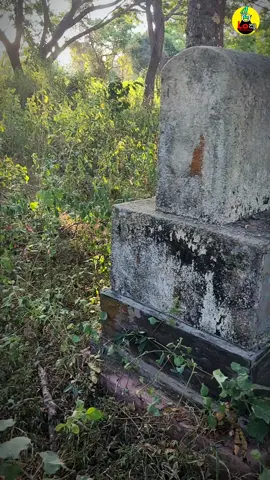 තාම හිතාගන්න බෑ 🤣😂😅