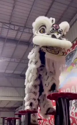 🇨🇳 陸馆 Lu.Guan Liondance Training OMG！step back 😨is hurt 🙏 take care #中国 #china #chinatiktok #香港 #hongkong #马来西亚 #malaysia #malaysiatiktok #liondance #liondancecompetition #liondanceperformance #醒獅 #舞狮 #barongsai #醒狮 #liondancetiktok #liondancer #liondancing #liondancelife #舞狮运动 #舞狮生活 #舞狮表演 #高桩舞狮 #mualan #tariansinga #舞狮生活🦁 #舞狮运动 #高桩 #liondancelife #liondancechina #醒狮表演 
