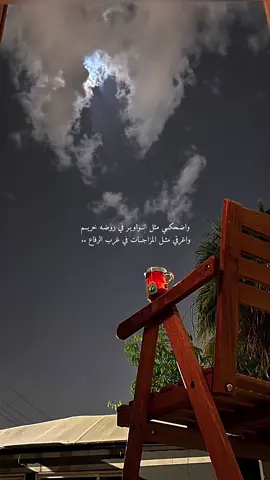 واضحكي مثل النواوير❤️ #explore #اكسبلور #تصويري #foryou #fyp #ضيدان_بن_قضعان 