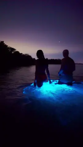The way of water connects all things 🩵 Bioluminescent nights in Florida. #bioluminescence #Florida #naturelover #fyp #glowingwater 