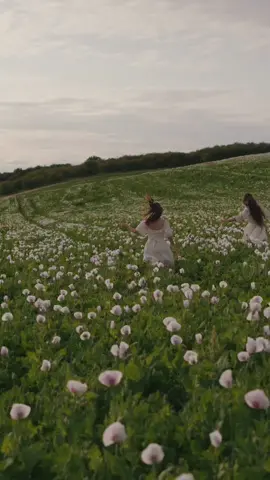 When @Beth and I went on a little adventure ✨🌿 #cottagecoreaesthetic #poppyfield #flowerfield #slowliving #cottagecore #visitengland #Summer #softliving #softgirl #enchanted #ethereal #friendshipgoals #visitoxford #flowermeadow 