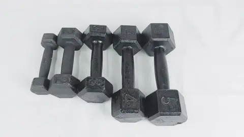 Halter Sextavado Pintado 1 ao 5 Kg 