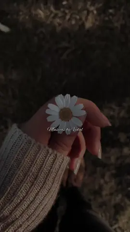 Rosas Oreja de Van Gogh💐❤️‍🩹 #musica #romantico #paradedicar🙈❤️🙈 #tuyyo #indirectas #letrasdecanciones #parati #orejadevangogh #paz #tristeza #