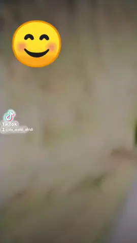 #♥️🥀🥀♥️ @Sk  mavia Afridi آفریدی 10186 #♥️🥀🥀♥️ 