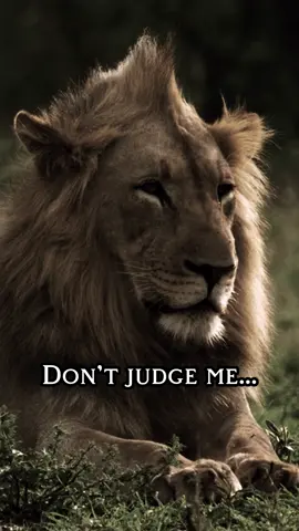 Don't judge me..#karma_intelligence #foryou #foryoupage #motivation #attitude #fyp