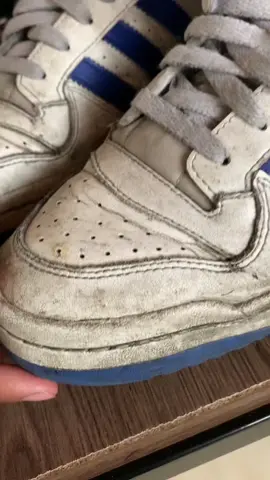 Adidas Forum #adidas #forum #blue #sneakers #clean 