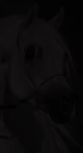 #حائل #الرياض #خيل #اكسبلورexplore #explore #fyp #الدمام 