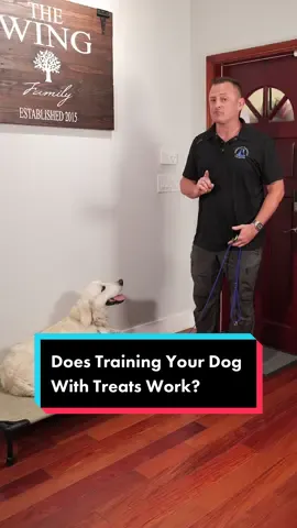 Does Training Your Dog With Treats Work? #dog #dogs #puppy #doglover #dogmom #fyp #foryou 