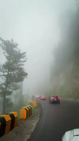 Clouds covering Nathiagali road with zero visibility #nathiagali #traveltiktok #trendingvideo #nathiagali_road #rainyweather #cloudyday #cloudyweather #capcut #capcuttrending #travellife #murree #murreehills #beautifulweather 