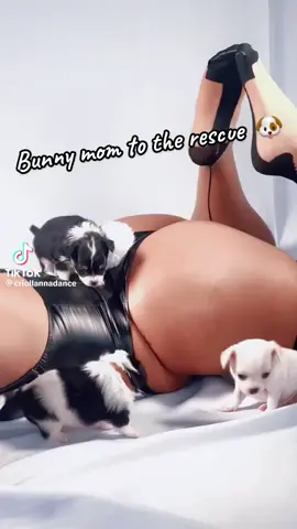 Hop into my basket of cuteness #cute 