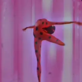 #ميراكولوس_الدعسوقة🐞_والقط_الاسود🐈 #miraculousladybugtiktok #مولو 