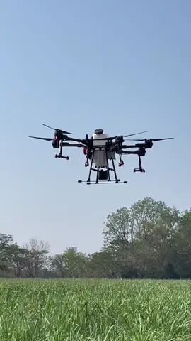 Aplicación con dron. #agrast30 #drone #dji #cañadeazucar ##insecticide #biol #fertilizer #farmlife #agriculture #precisionagriculture #cana #fyp #parati #foryou #sugarcane #mexico 