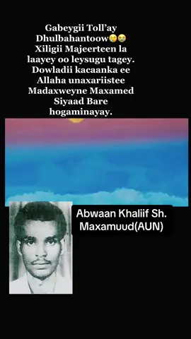 #puntlander🇸🇱 #dhulbahante🐎 #darwiish #somalitiktok #somaliweyn #somaligirls #somaliamerican #majeerteeniya❤🦁🤴 #majeerteen 