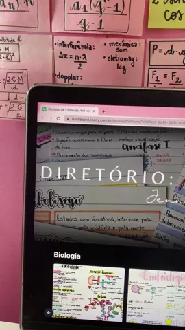 Tour pelo meu diretório de conteúdo: pré-vestibular! 📚 Perfeito para revisar, complementar e aprender as matérias rumo a sua aprovação! + 500 arquivos com resumos, anotações de aula, fichas de revisão, Ilustrações, Slides e listas de exercícios! #cursinho #medicina #aprovação #medbulando 