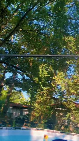 I did it!!!😎💙 Blue dragonfly.  #bluedragonfly #fyp👀 #fyp #Summer #pma🌻⚡️ #summervibes  #insectsoftiktok 